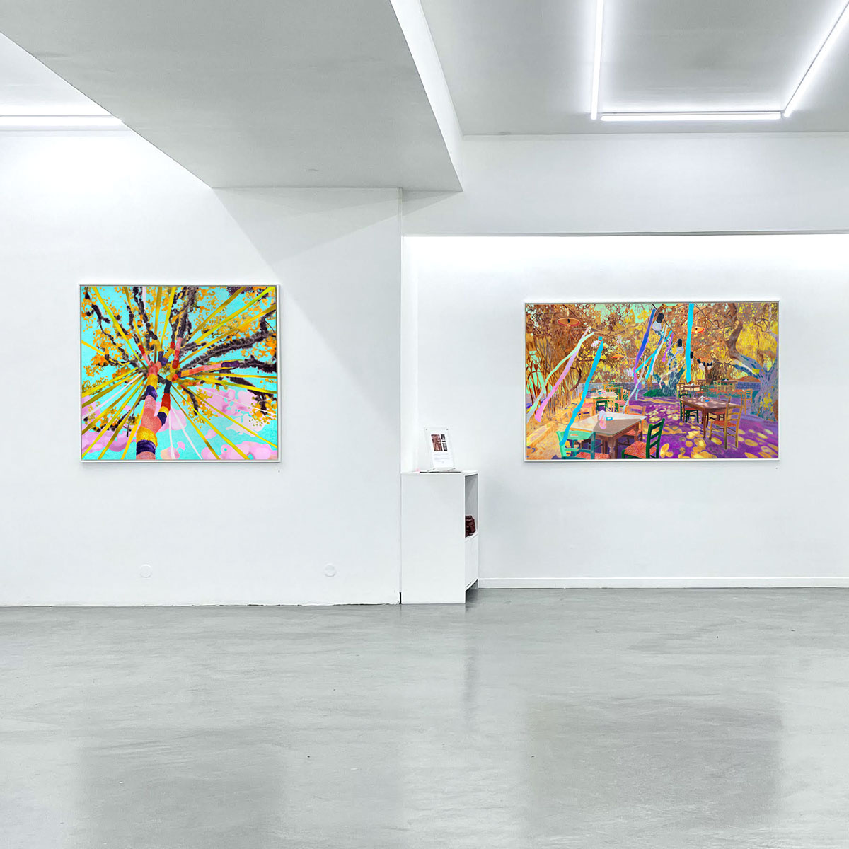"Midsummer" - exhibition view, Karolina Orzełek, galerie Sabine Bayasli, may 2022