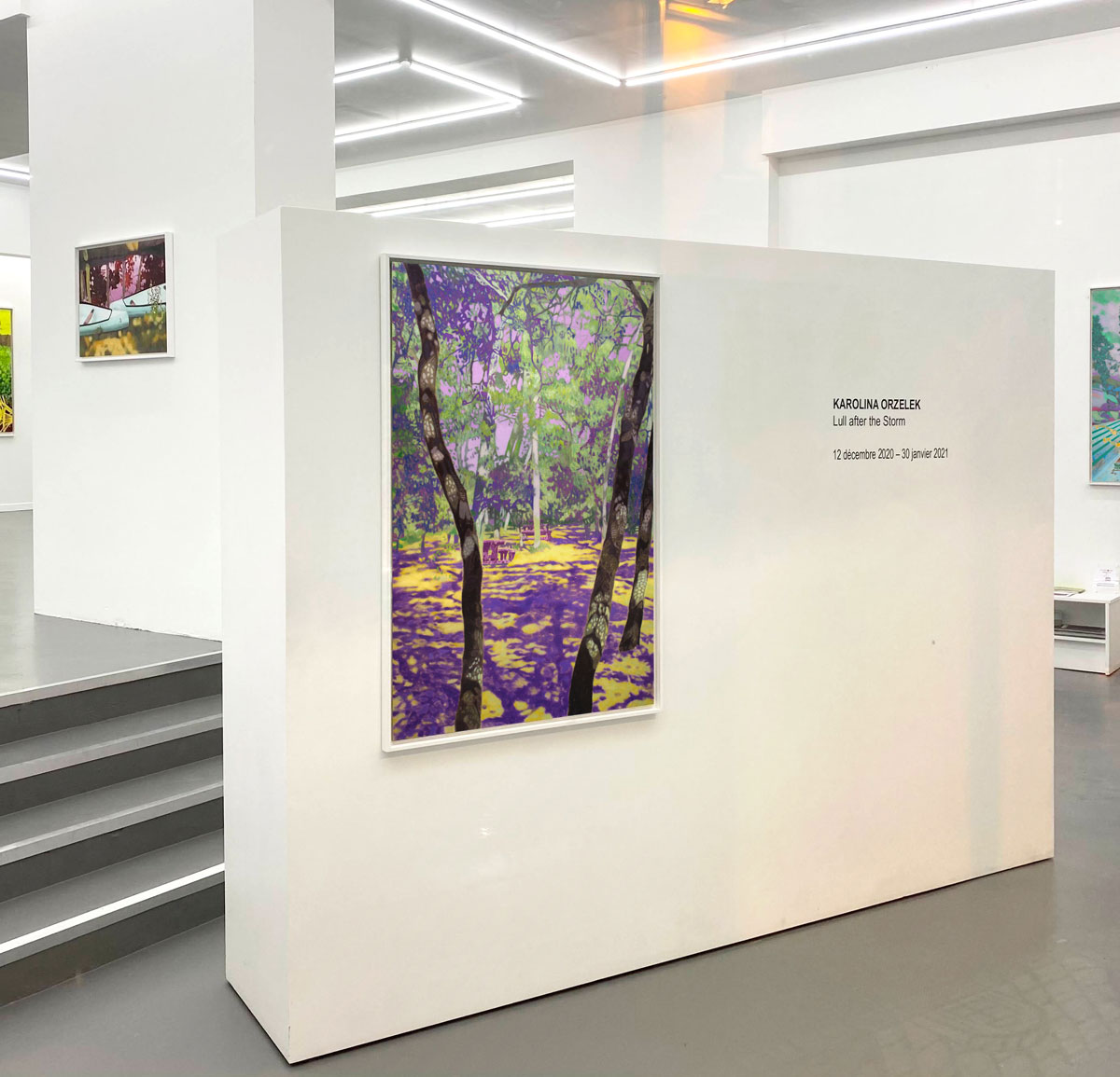 "Lull after the storm" - exhibition view, Karolina Orzełek, galerie Sabine Bayasli, december 2020
