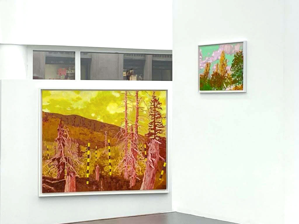 "Lull after the storm" - exhibition view, Karolina Orzełek, galerie Sabine Bayasli, december 2020