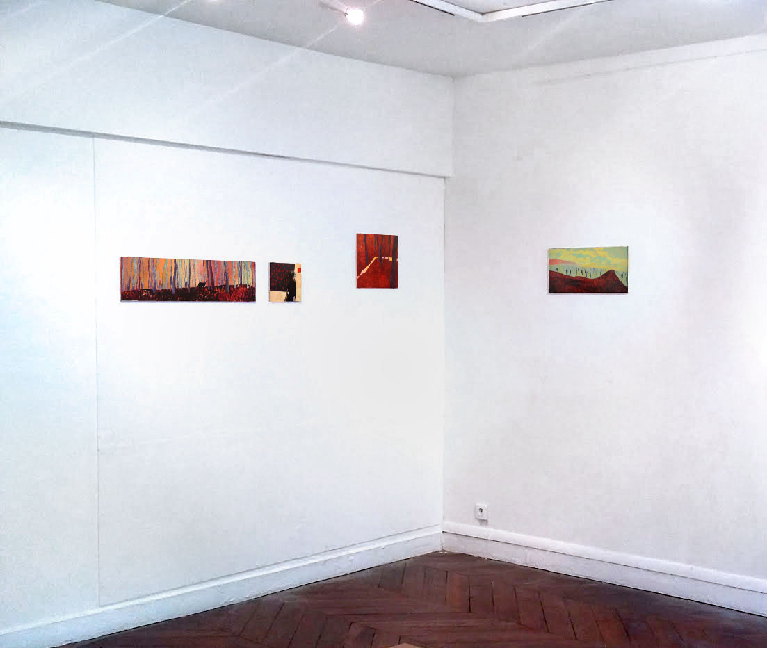 "Wrocław, capitale européenne de la culture 2016" - exhibition view, Karolina Orzełek, galerie du Crous, july 2016